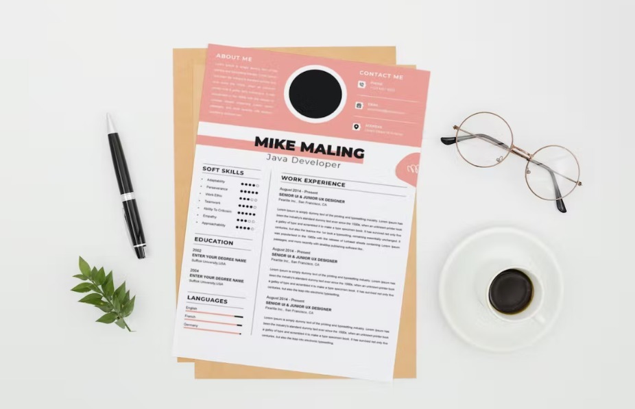 Java Developer Resume CV