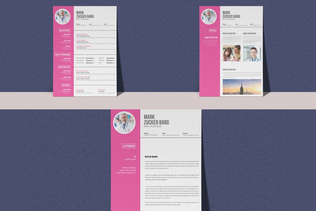 Professional Resume & Letter Template Vol.09
