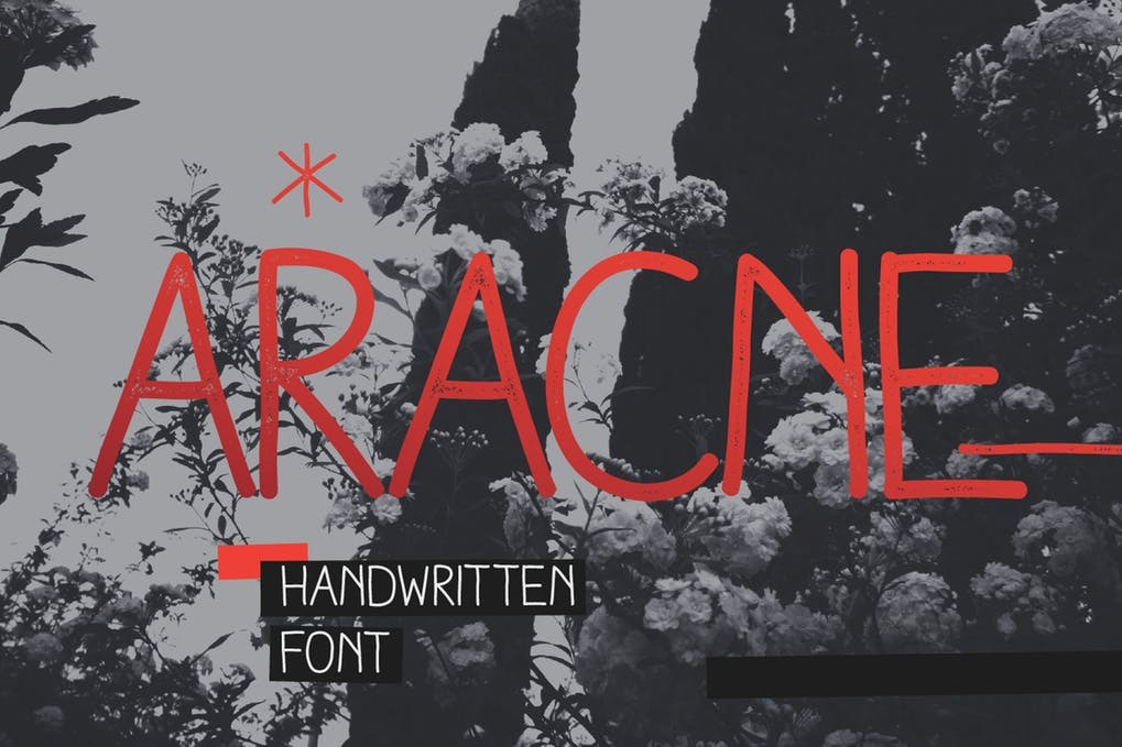 Free Aracne Font Download