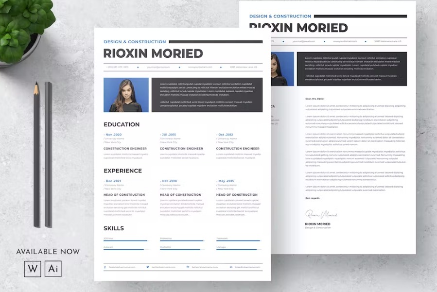 Free Clean CV Resume Template Download