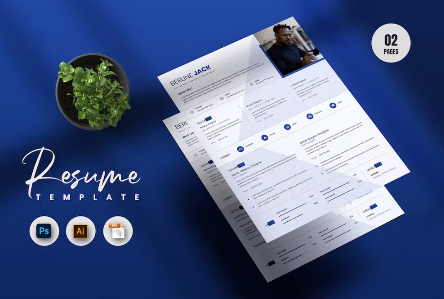 Free Comb Creative Resume & CV Template Download