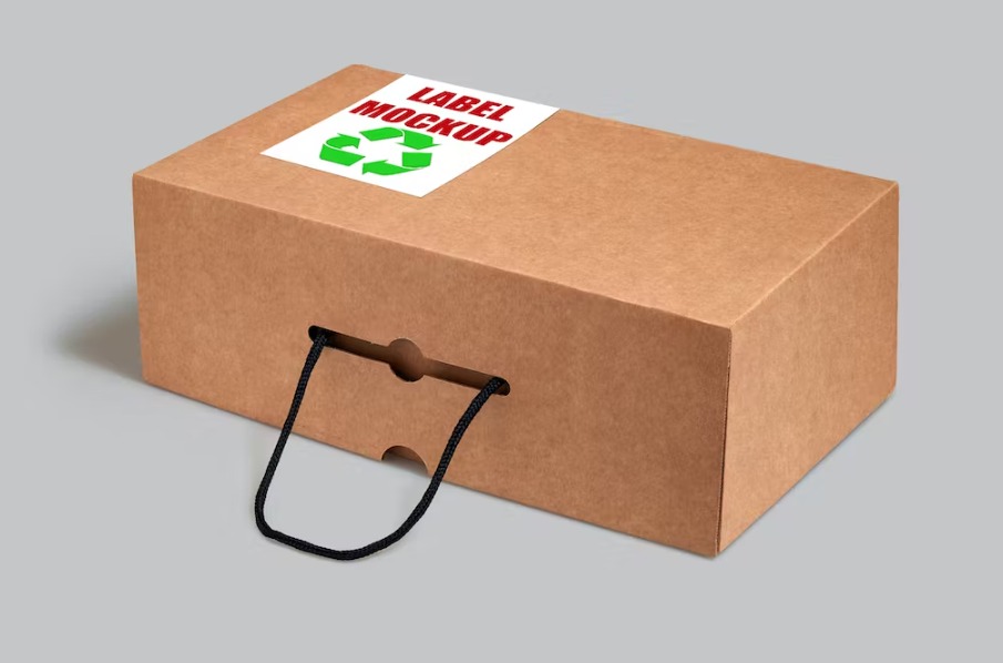 Free Eco Friendly Shoe Box Template Download