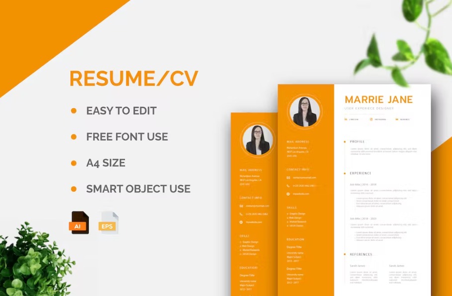 Free Modern CV Resume Template Download