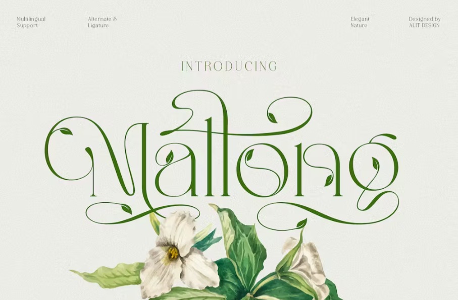 Free Mallong Typeface Font Download